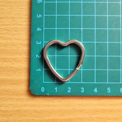 حلقه جاسوییچی ، مدبر یا کارابین